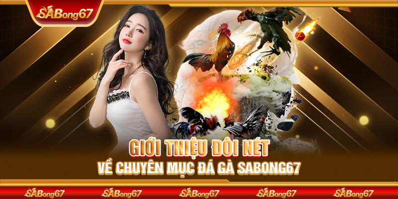 Giới thiệu đôi nét về chuyên mục đá gà SABONG67
