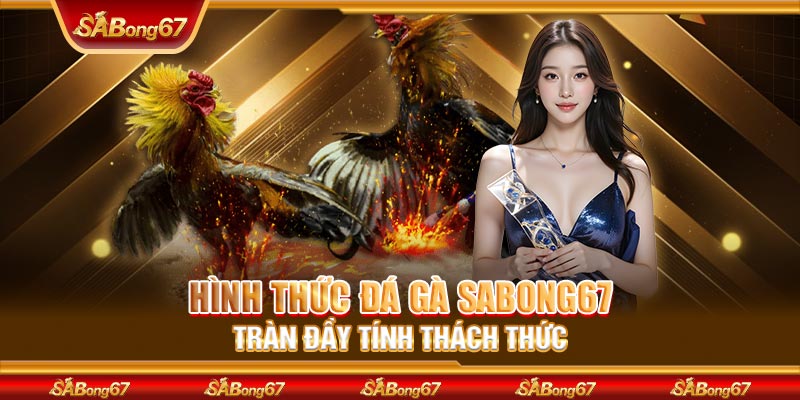Hình thức đá gà SABONG67 tràn đầy tính thách thức