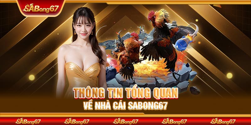 Thông tin tổng quan về nhà cái SABONG67