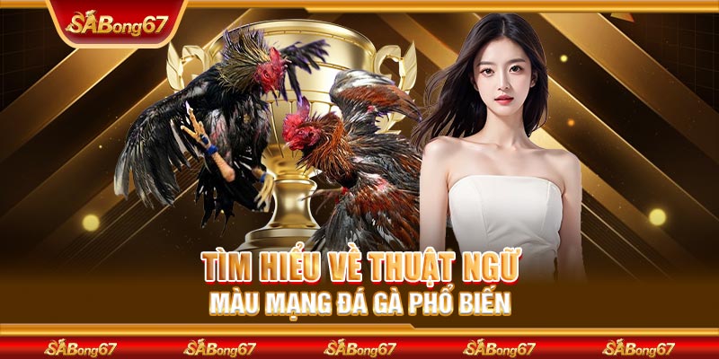Tìm hiểu về thuật ngữ màu mạng đá gà phổ biến