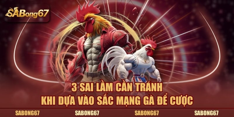 3 sai lầm cần tránh khi dựa vào sắc mạng gà để cược