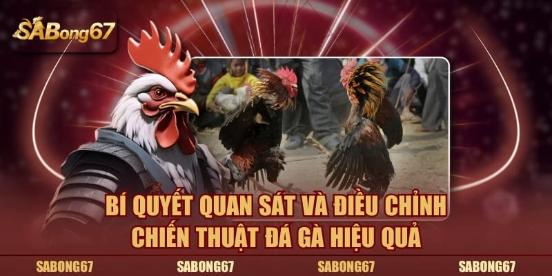 Bí quyết quan sát và điều chỉnh lối đánh hiệu quả