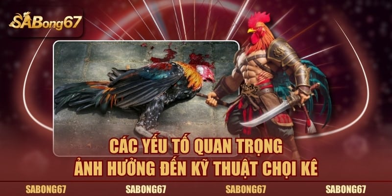Các yếu tố quan trọng ảnh hưởng đến kỹ thuật chọi kê