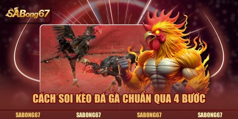 Cách soi kèo đá gà chuẩn qua 4 bước