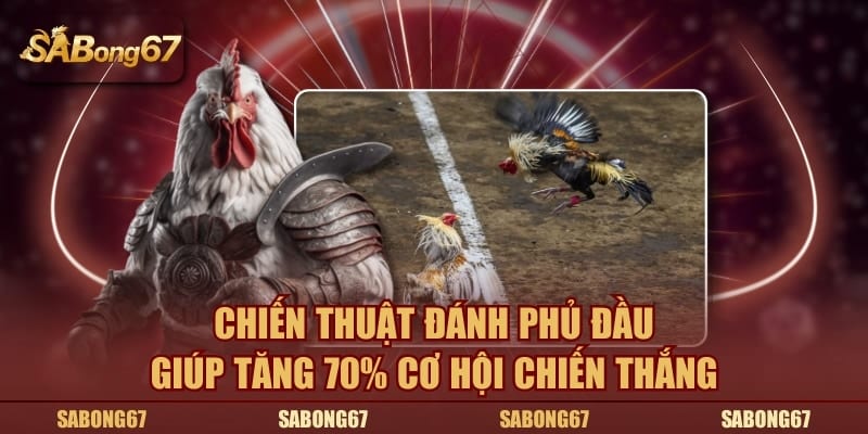 Chiến thuật đá gà đánh phủ đầu giúp tăng 70% cơ hội chiến thắng