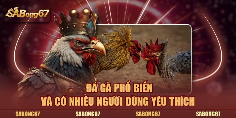 Đá gà phổ biến và có nhiều người dùng yêu thích