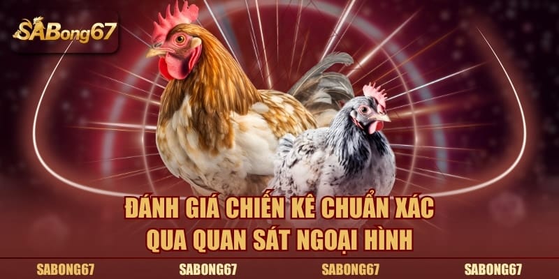 Đánh giá chiến kê chuẩn xác qua quan sát ngoại hình
