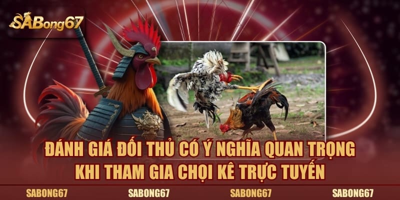 Đánh giá đối thủ có ý nghĩa quan trọng khi tham gia chọi kê trực tuyến