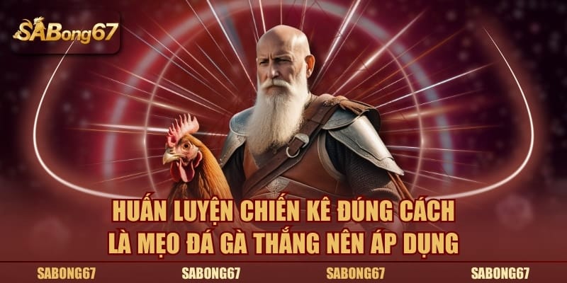 Huấn luyện chiến kê đúng cách là mẹo đá gà thắng nên áp dụng