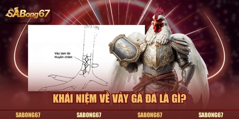 Khái niệm về vảy gà đá là gì chuẩn chỉnh nhất