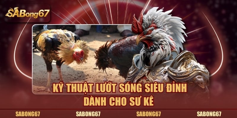 Kỹ thuật Lướt Sóng siêu đỉnh