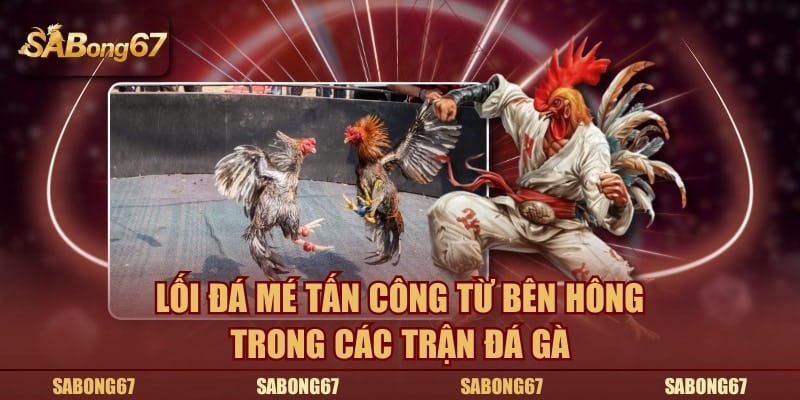 Kiểu đánh mé tấn công từ bên hông trong các trận đá gà