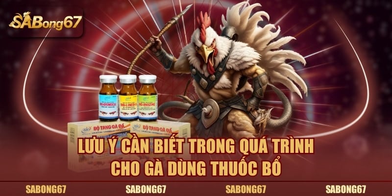 Lưu ý cần biết trong quá trình cho gà dùng thuốc bổ