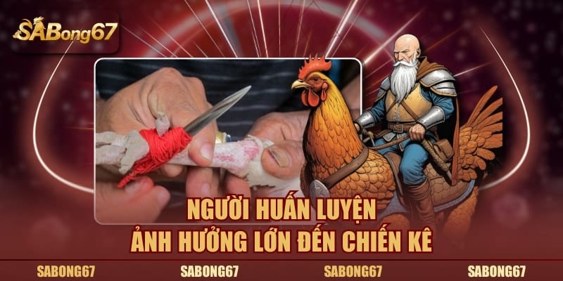 Người huấn luyện ảnh hưởng lớn đến chiến kê