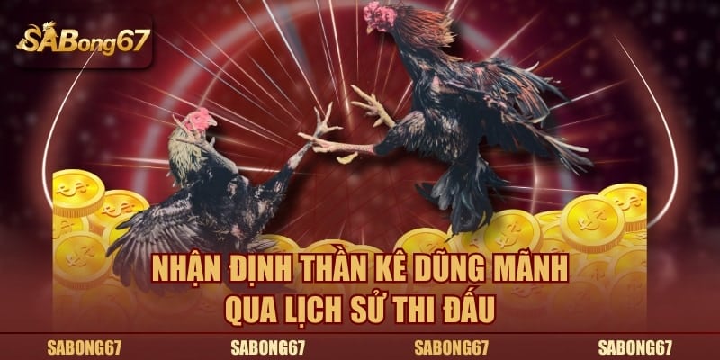 Nhận định thần kê dũng mãnh qua lịch sử thi đấu