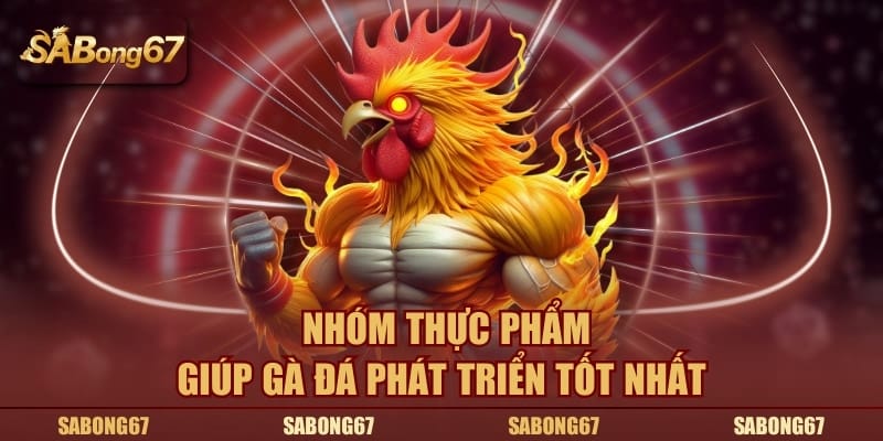 Nhóm thực phẩm giúp gà đá phát triển tốt nhất