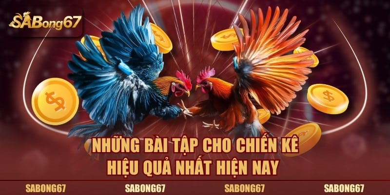Những bài tập cho chiến kê hiệu quả nhất hiện nay