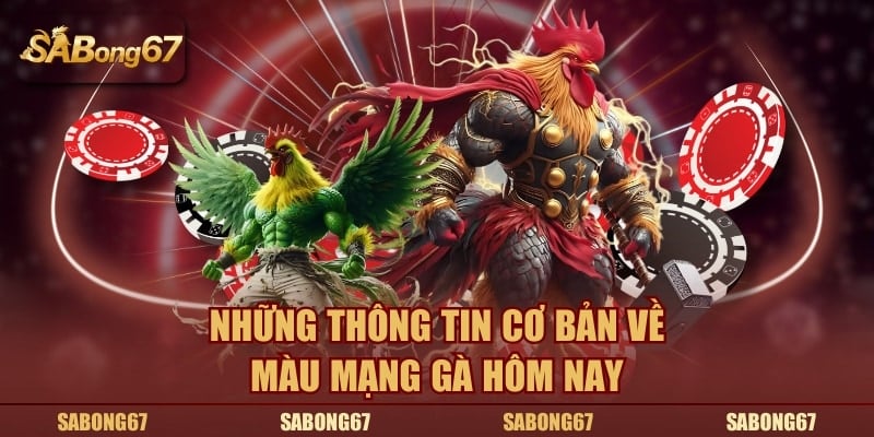 Những thông tin cơ bản về màu mạng gà hôm nay