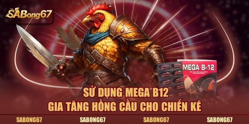 Sử dụng Mega B12 gia tăng hồng cầu cho chiến kê