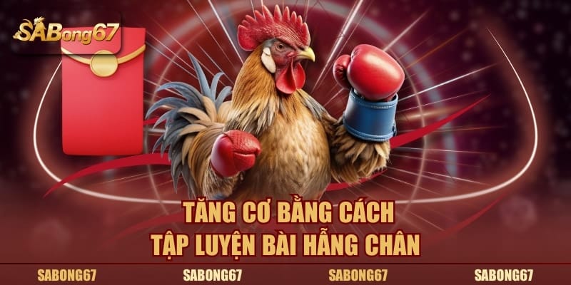 Tăng cơ bằng cách tập luyện bài hẫng chân