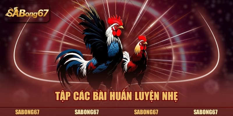 Tập các bài huấn luyện nhẹ