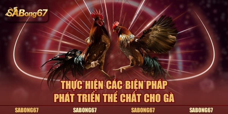 Thực hiện các biện pháp phát triển thể chất cho gà