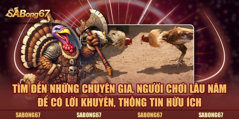 Tìm đến những chuyên gia để có lời khuyên