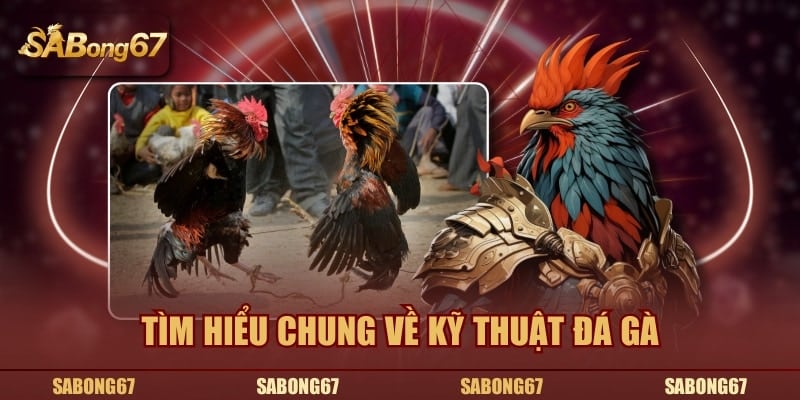 Tìm hiểu chung về kỹ thuật đá gà