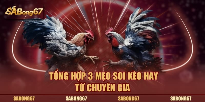 Tổng hợp 3 mẹo soi kèo hay từ chuyên gia