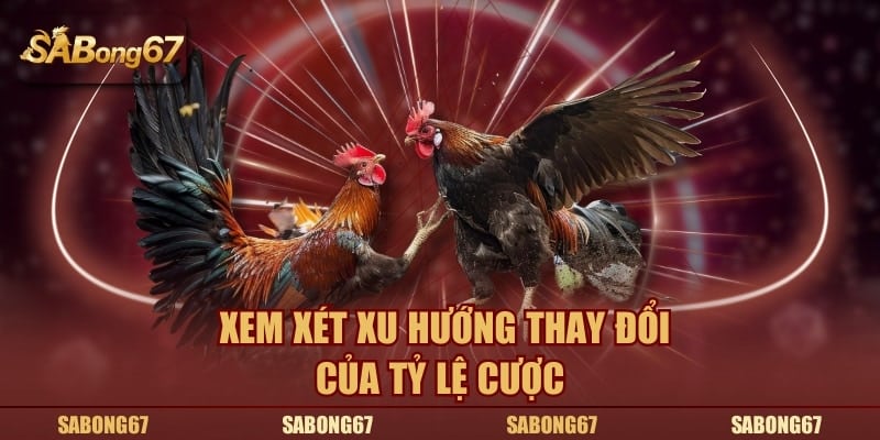 Xem xét xu hướng thay đổi của tỷ lệ cược