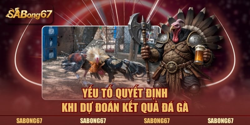 Yếu tố quyết định khi dự đoán kết quả đá gà