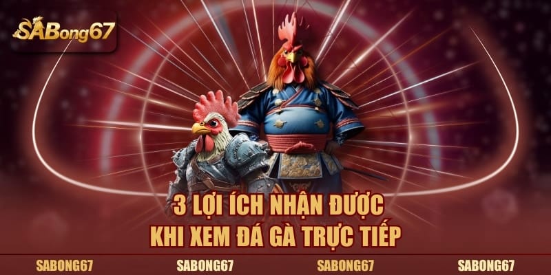 3 lợi ích nhận được khi xem đá gà trực tiếp