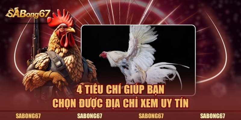 4 tiêu chí giúp bạn chọn được địa chỉ xem uy tín