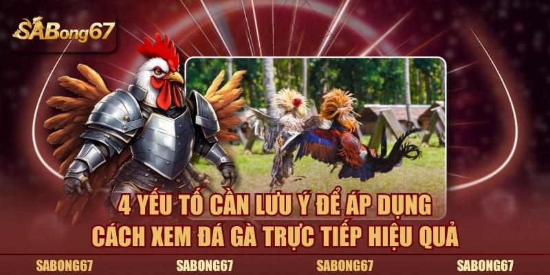 4 yếu tố cần lưu ý để áp dụng cách xem đá gà trực tiếp hiệu quả