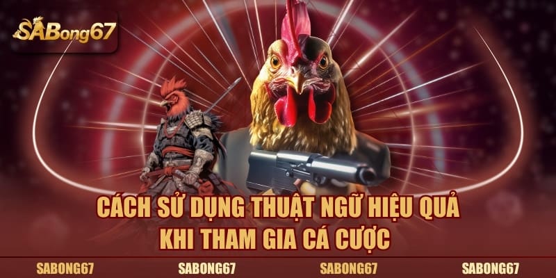 Cách sử dụng thuật ngữ hiệu quả khi tham gia cá cược trực tuyến