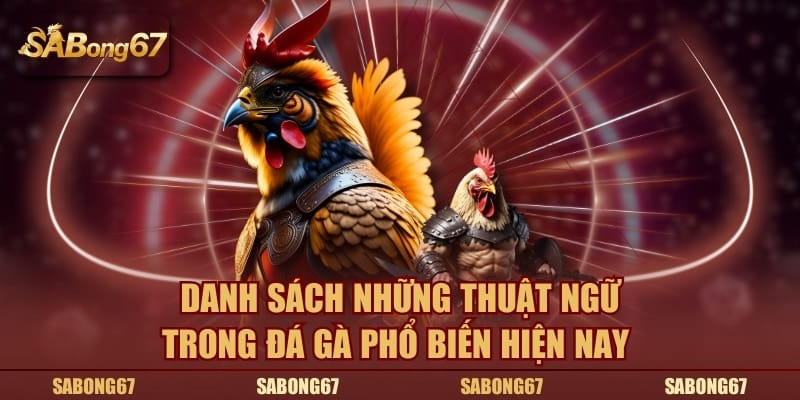 Danh sách những thuật ngữ trong đá gà phổ biến hiện nay